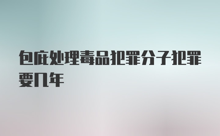 包庇处理毒品犯罪分子犯罪要几年