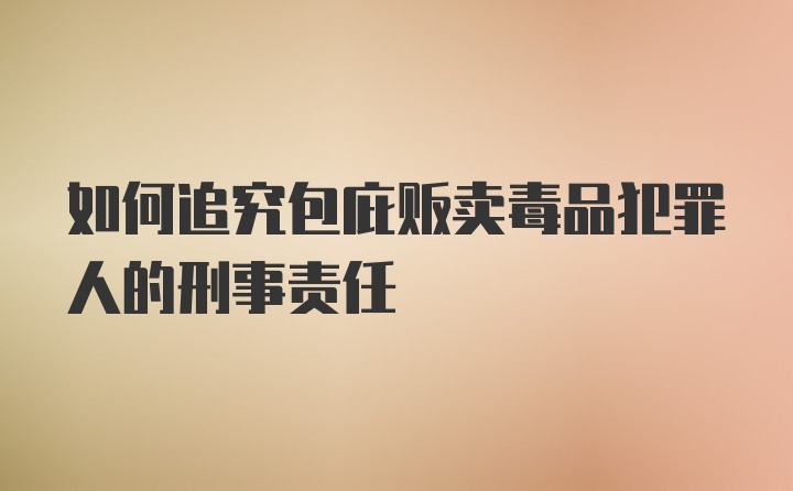 如何追究包庇贩卖毒品犯罪人的刑事责任