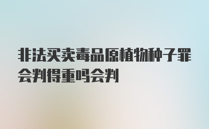 非法买卖毒品原植物种子罪会判得重吗会判