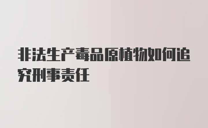 非法生产毒品原植物如何追究刑事责任