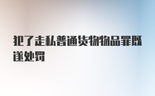 犯了走私普通货物物品罪既遂处罚