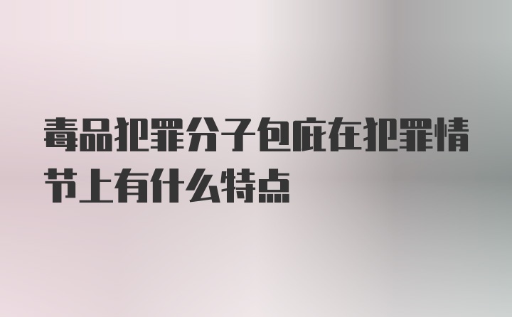 毒品犯罪分子包庇在犯罪情节上有什么特点