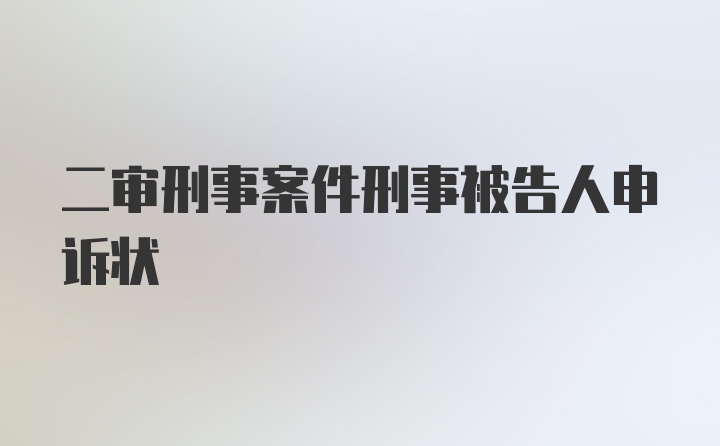 二审刑事案件刑事被告人申诉状