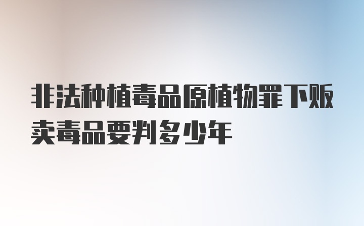 非法种植毒品原植物罪下贩卖毒品要判多少年