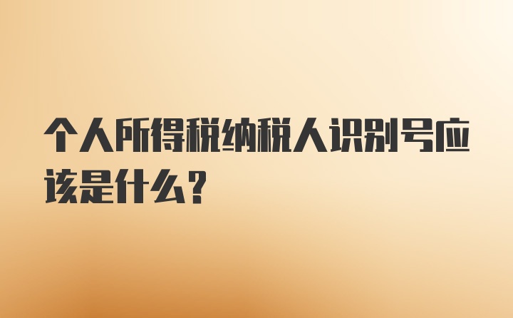 个人所得税纳税人识别号应该是什么？