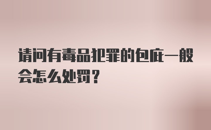 请问有毒品犯罪的包庇一般会怎么处罚？