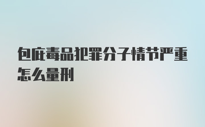 包庇毒品犯罪分子情节严重怎么量刑