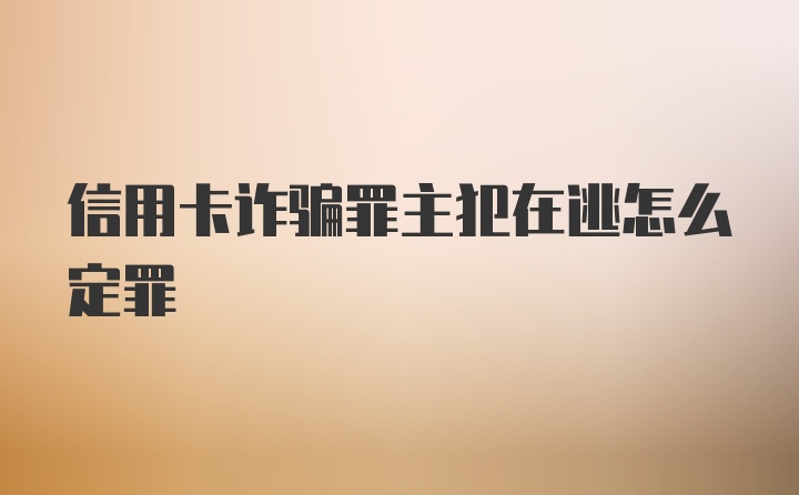 信用卡诈骗罪主犯在逃怎么定罪