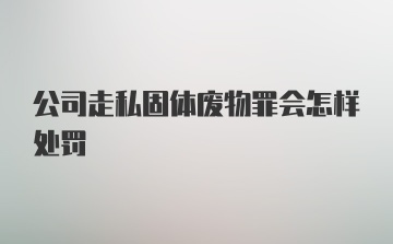 公司走私固体废物罪会怎样处罚