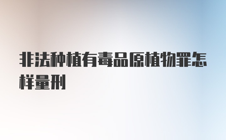 非法种植有毒品原植物罪怎样量刑