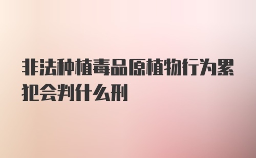 非法种植毒品原植物行为累犯会判什么刑