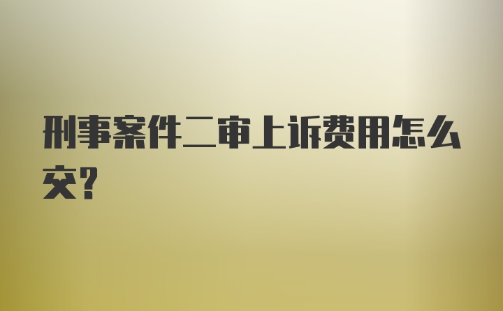 刑事案件二审上诉费用怎么交？