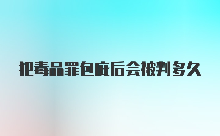 犯毒品罪包庇后会被判多久