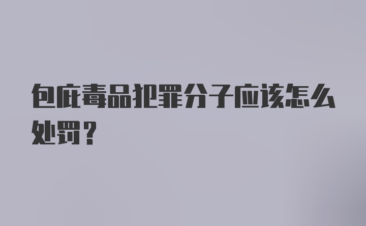 包庇毒品犯罪分子应该怎么处罚？