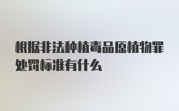 根据非法种植毒品原植物罪处罚标准有什么