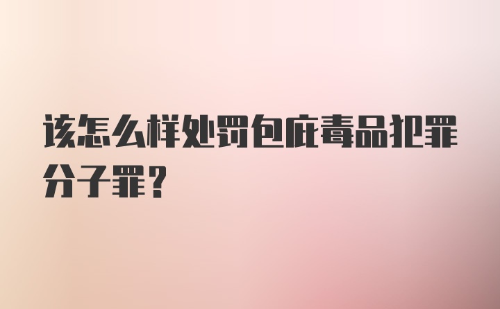 该怎么样处罚包庇毒品犯罪分子罪？