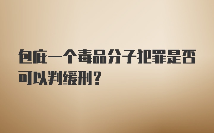 包庇一个毒品分子犯罪是否可以判缓刑?