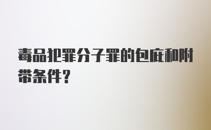 毒品犯罪分子罪的包庇和附带条件？