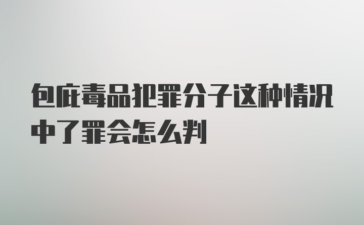 包庇毒品犯罪分子这种情况中了罪会怎么判