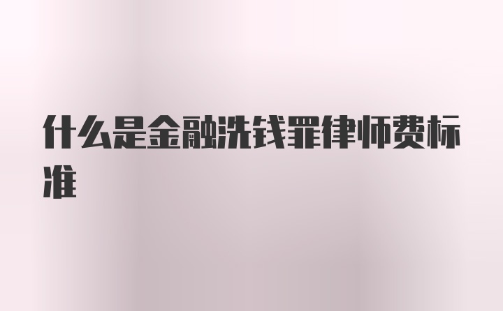 什么是金融洗钱罪律师费标准