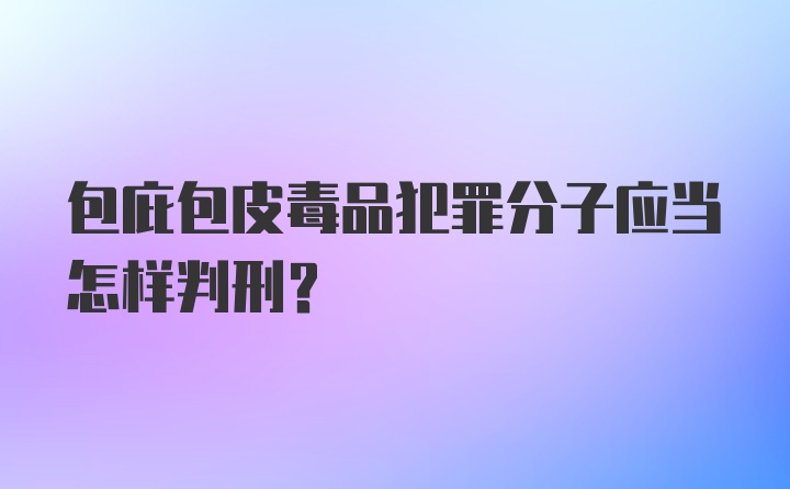 包庇包皮毒品犯罪分子应当怎样判刑？