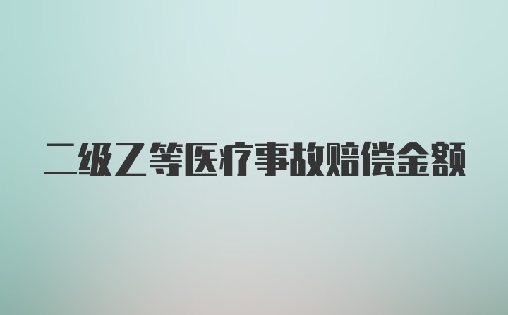 二级乙等医疗事故赔偿金额