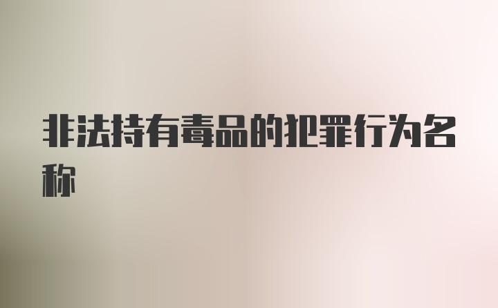 非法持有毒品的犯罪行为名称