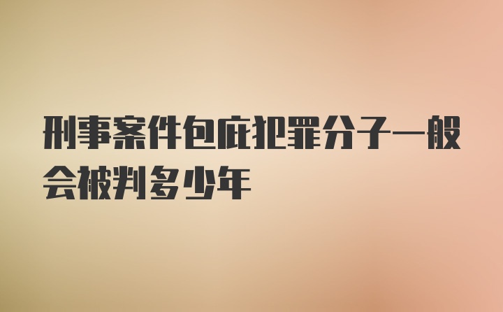 刑事案件包庇犯罪分子一般会被判多少年