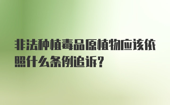 非法种植毒品原植物应该依照什么条例追诉?