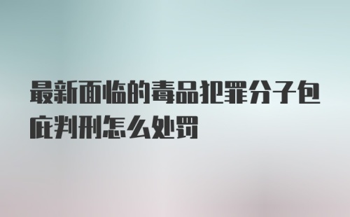 最新面临的毒品犯罪分子包庇判刑怎么处罚