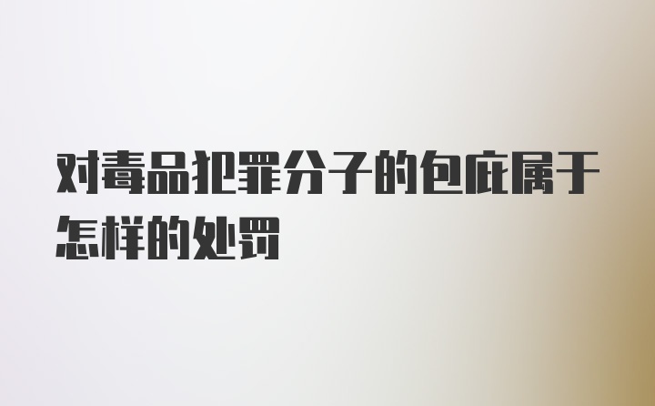 对毒品犯罪分子的包庇属于怎样的处罚