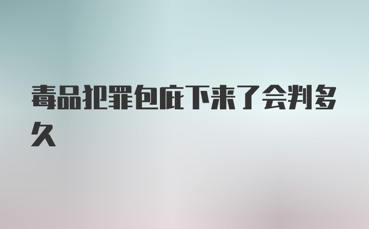 毒品犯罪包庇下来了会判多久