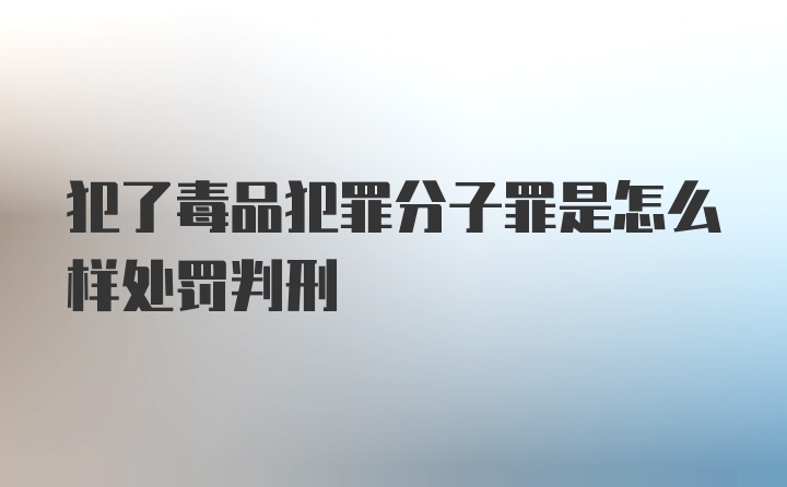 犯了毒品犯罪分子罪是怎么样处罚判刑