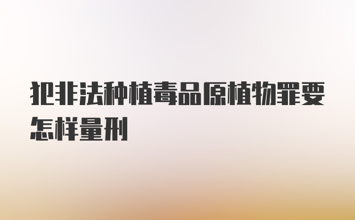 犯非法种植毒品原植物罪要怎样量刑