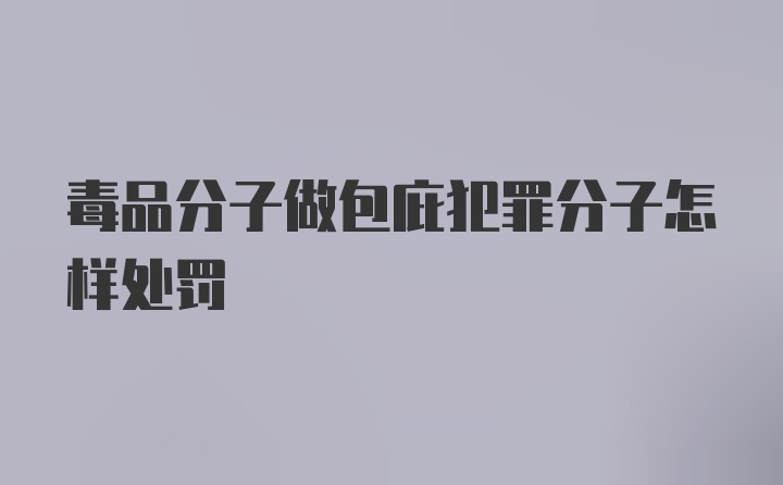 毒品分子做包庇犯罪分子怎样处罚