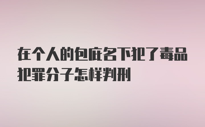 在个人的包庇名下犯了毒品犯罪分子怎样判刑