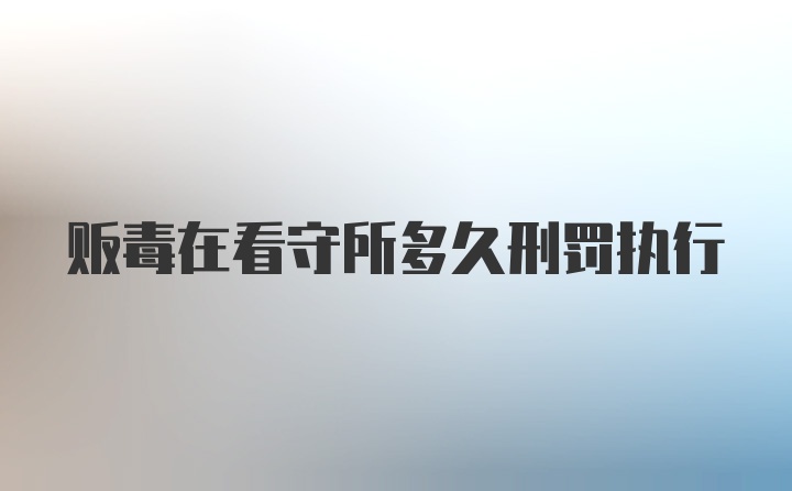 贩毒在看守所多久刑罚执行