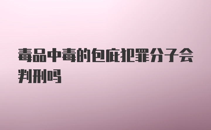 毒品中毒的包庇犯罪分子会判刑吗