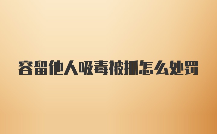 容留他人吸毒被抓怎么处罚