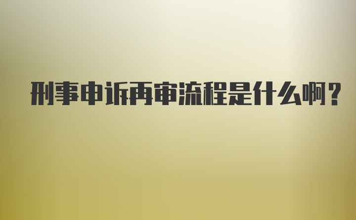 刑事申诉再审流程是什么啊？