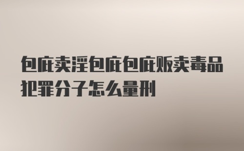 包庇卖淫包庇包庇贩卖毒品犯罪分子怎么量刑