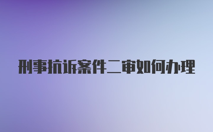 刑事抗诉案件二审如何办理