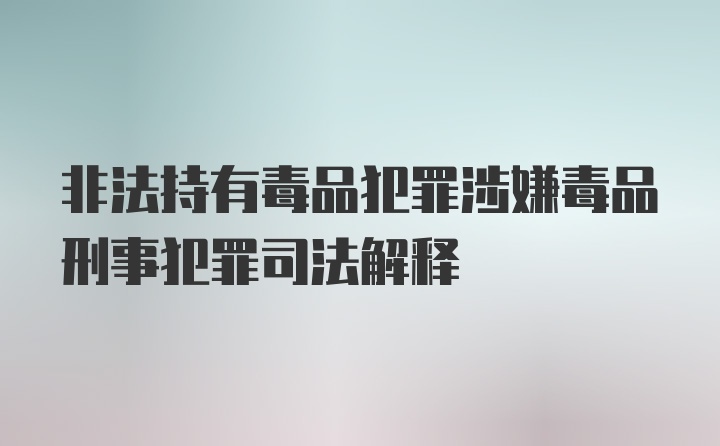 非法持有毒品犯罪涉嫌毒品刑事犯罪司法解释