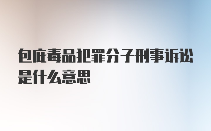 包庇毒品犯罪分子刑事诉讼是什么意思