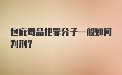 包庇毒品犯罪分子一般如何判刑？