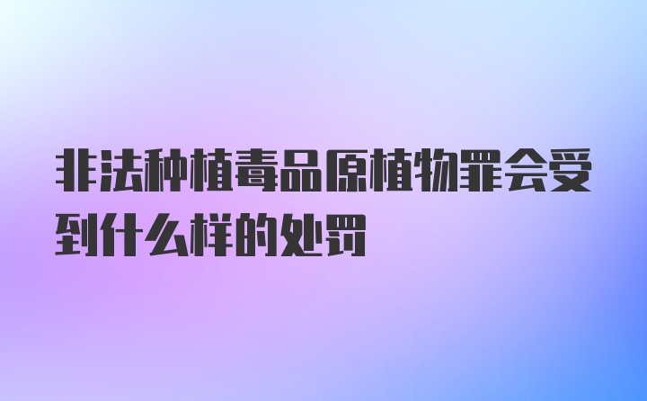 非法种植毒品原植物罪会受到什么样的处罚