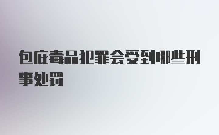 包庇毒品犯罪会受到哪些刑事处罚