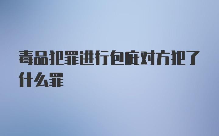 毒品犯罪进行包庇对方犯了什么罪