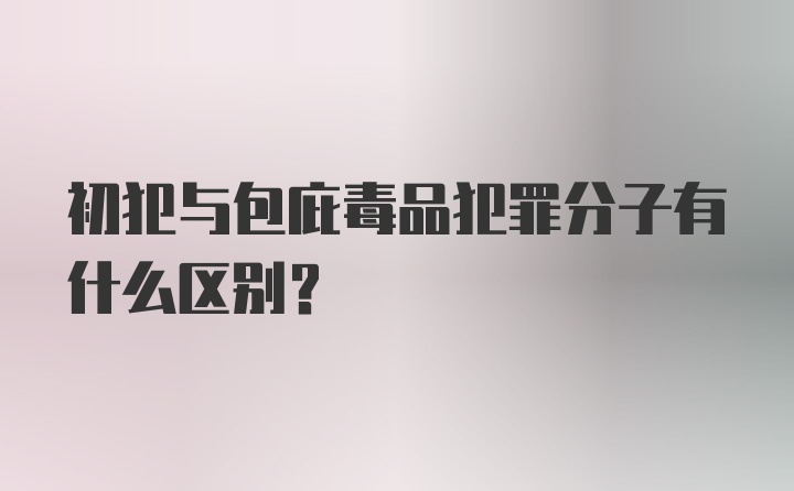 初犯与包庇毒品犯罪分子有什么区别？