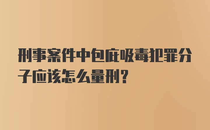 刑事案件中包庇吸毒犯罪分子应该怎么量刑？